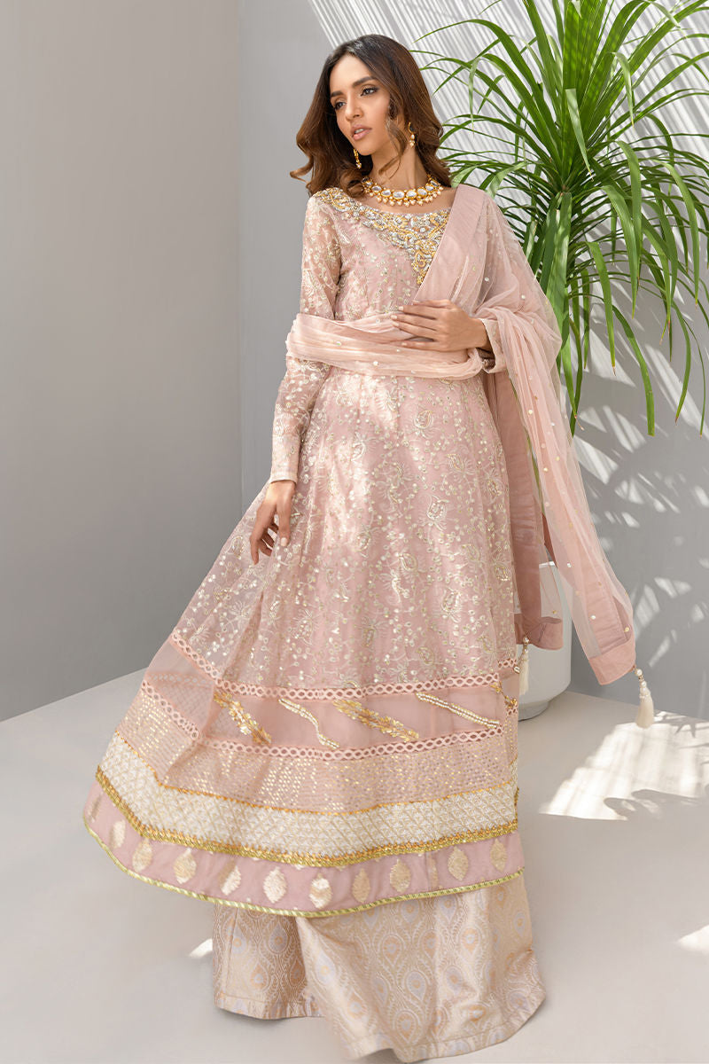 Daisy Pink | Pink Organza Embellished Sharara