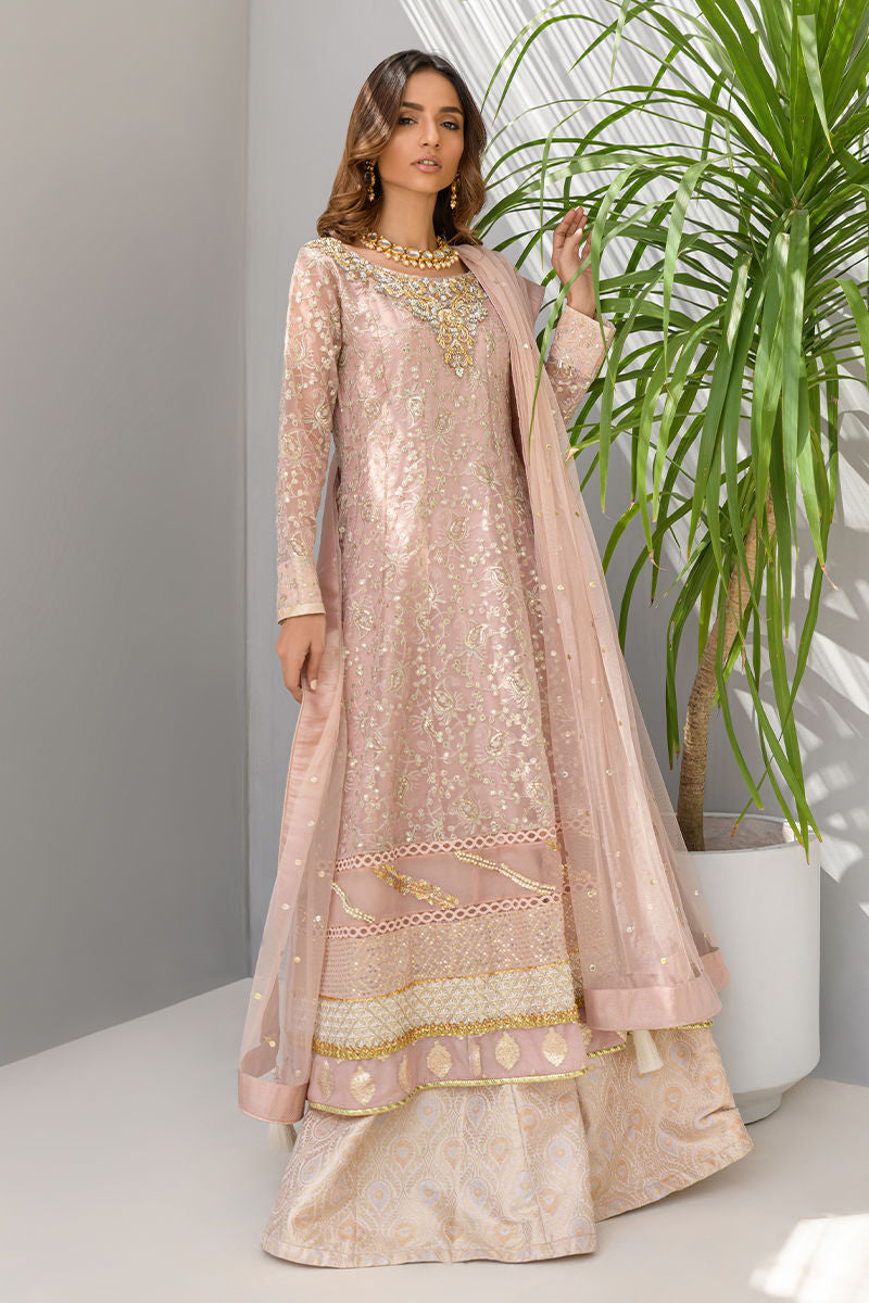 Daisy Pink | Pink Organza Embellished Sharara