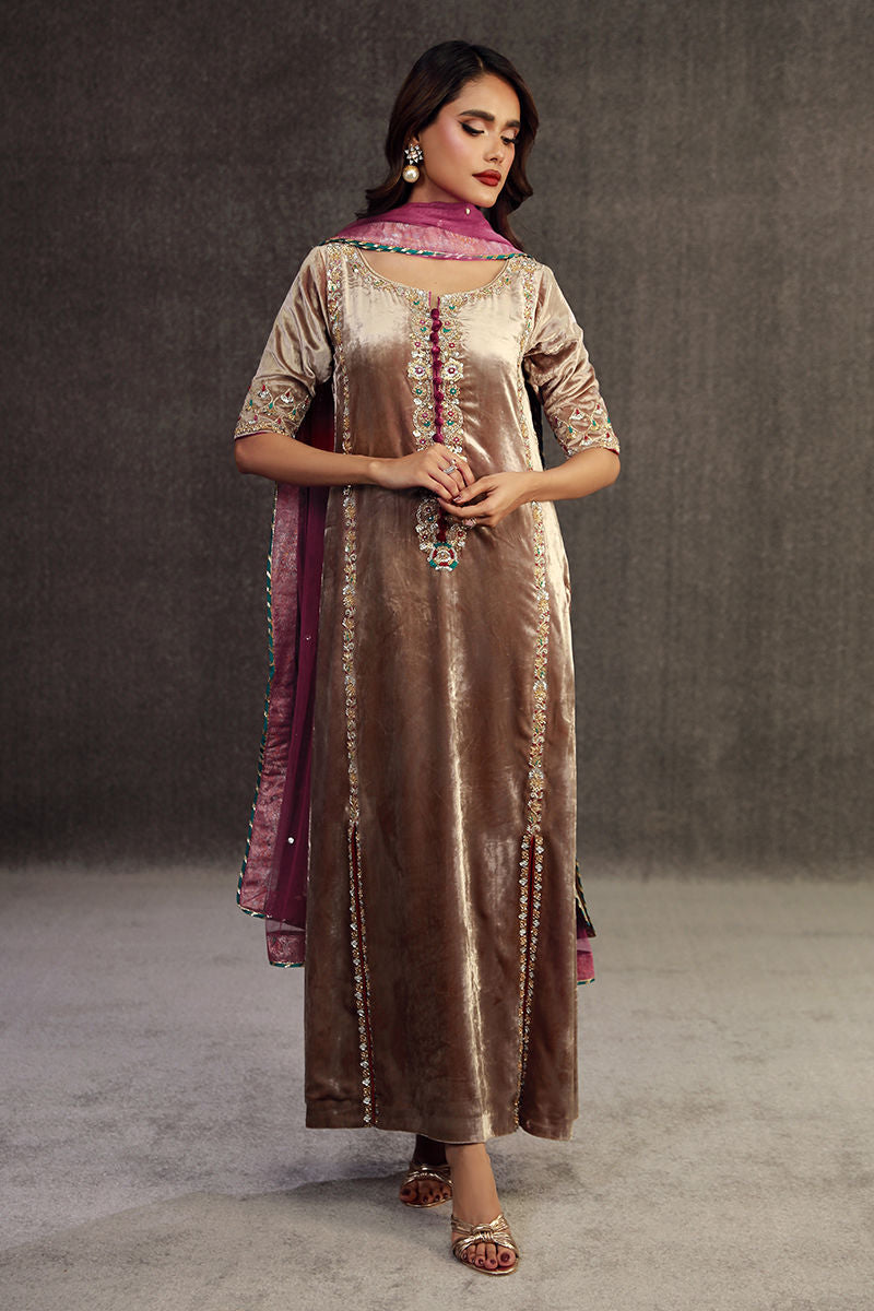 Celestial Pearl | Champaign Velvet Embellished Suit