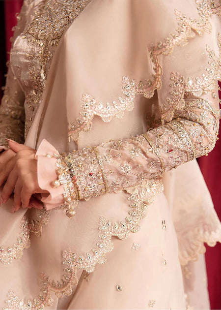 Reema | Beige Organza Embellished Saree