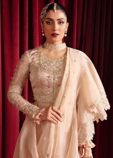 Reema | Beige Organza Embellished Saree
