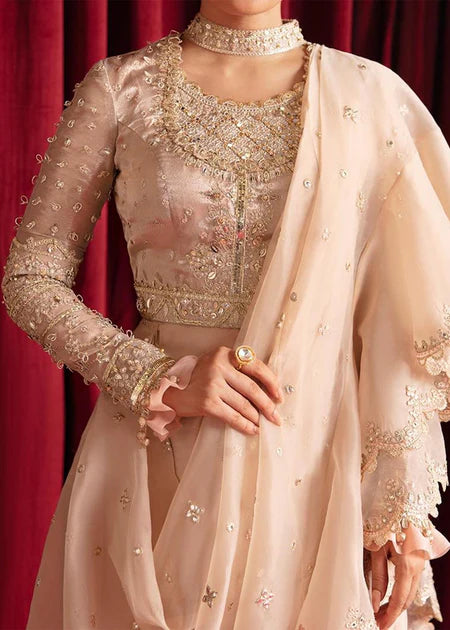 Reema | Beige Organza Embellished Saree