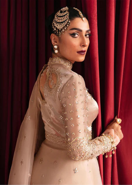 Reema | Beige Organza Embellished Saree