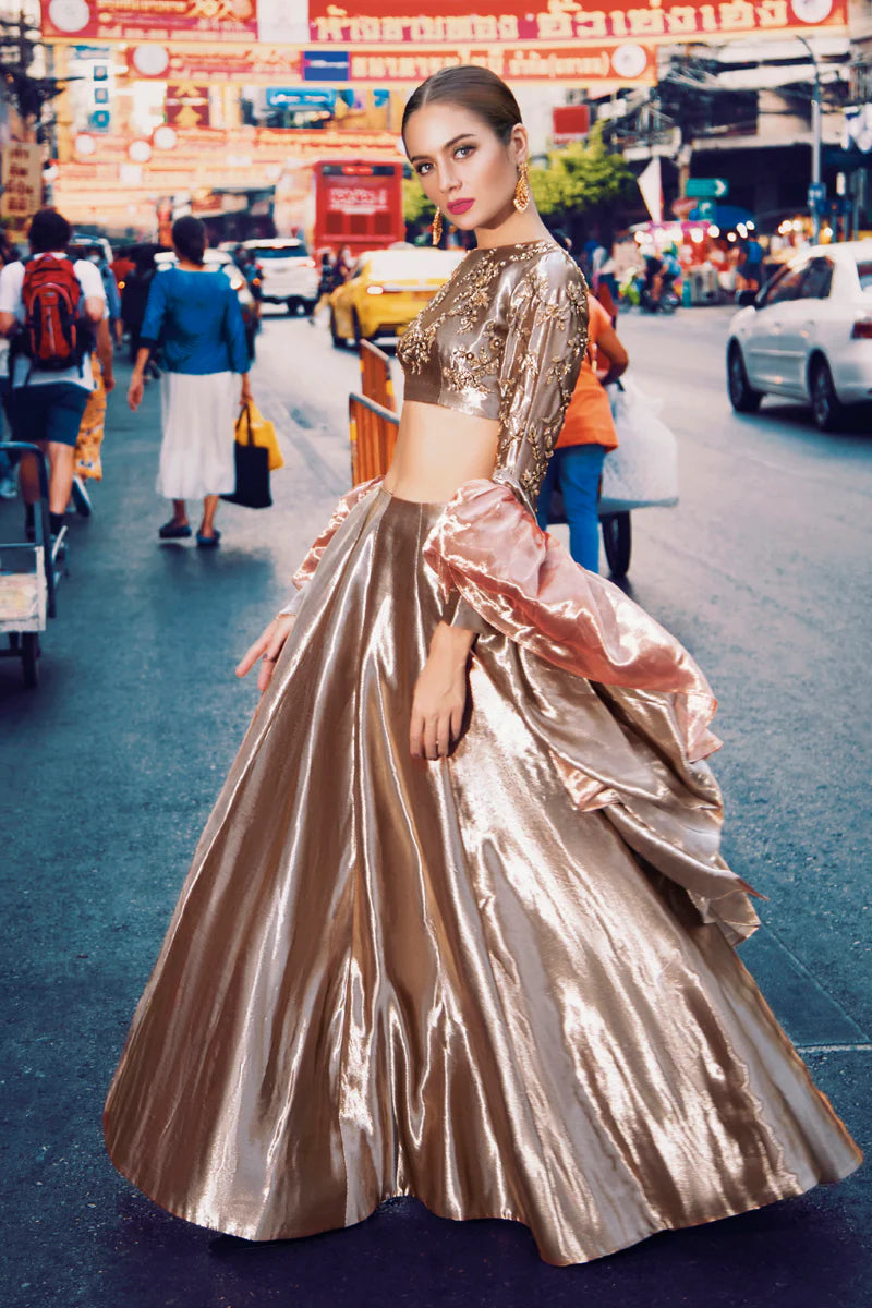 Leur | Brown Silk Embellished Lehenga Choli