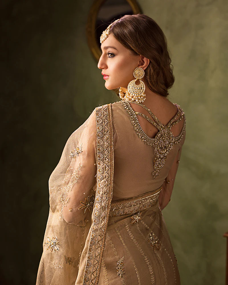 Nazneen | Wedding Wear Embellished Saree