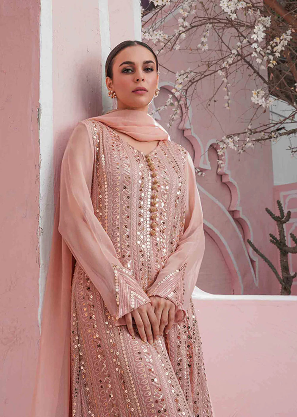 Ufaq | Peach Chikenkari Embellished Gown