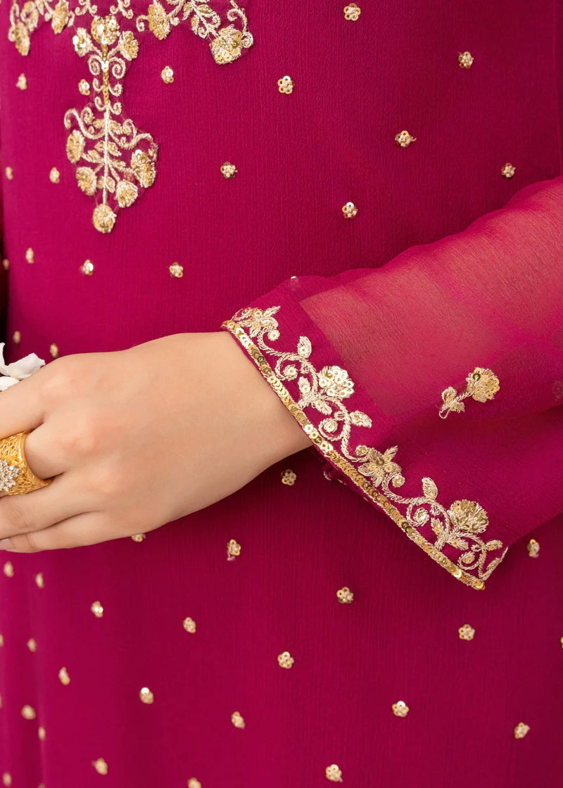 EREM | Pink Chiffon Embroidered Suit