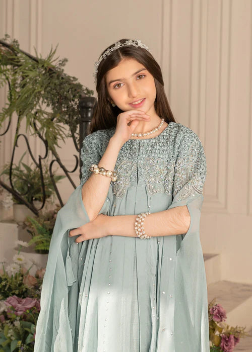 Zoya | Girls Ice Blue Chiffon Chikankari Cape