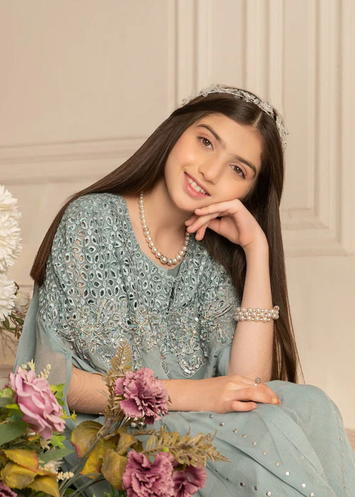 Zoya | Girls Ice Blue Chiffon Chikankari Cape