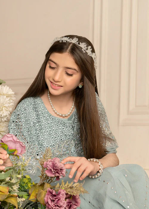 Zoya | Girls Ice Blue Chiffon Chikankari Cape