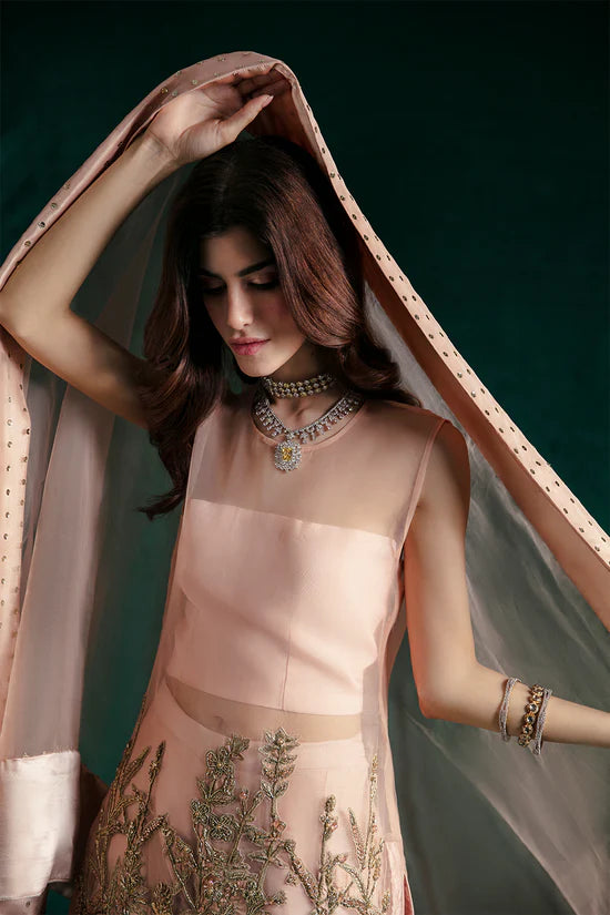 Cacie | Peach Hand Embellished Sharara