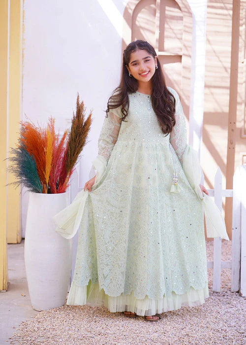 Imani | Girls Pastel Green Net Embroidered Maxi Dress