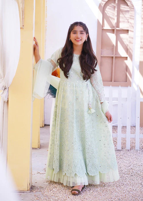 Imani | Girls Pastel Green Net Embroidered Maxi Dress