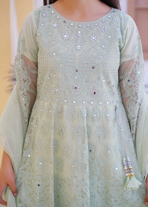 Imani | Girls Pastel Green Net Embroidered Maxi Dress