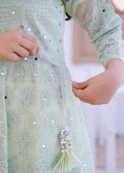 Imani | Girls Pastel Green Net Embroidered Maxi Dress