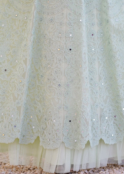 Imani | Girls Pastel Green Net Embroidered Maxi Dress