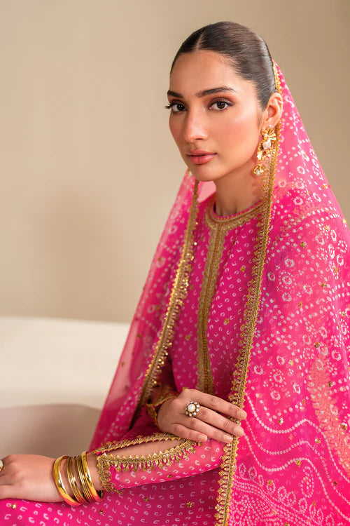 Baroque | Pink Embroidered Chiffon Suit
