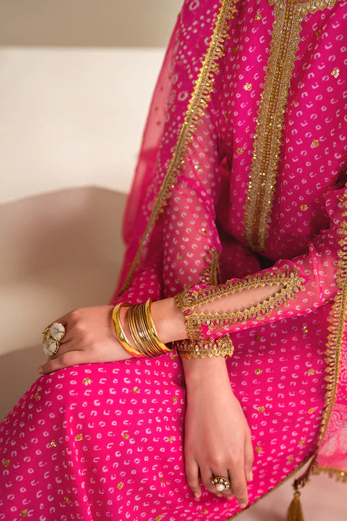 Baroque | Pink Embroidered Chiffon Suit