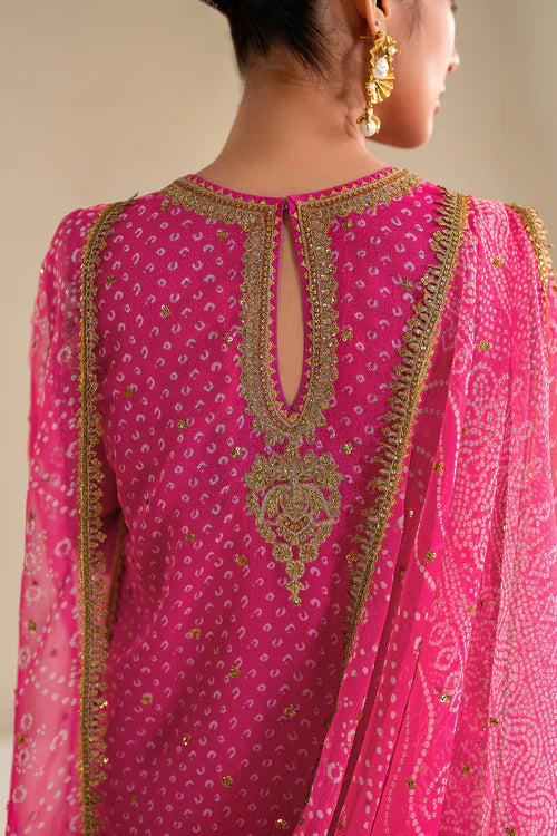 Baroque | Pink Embroidered Chiffon Suit