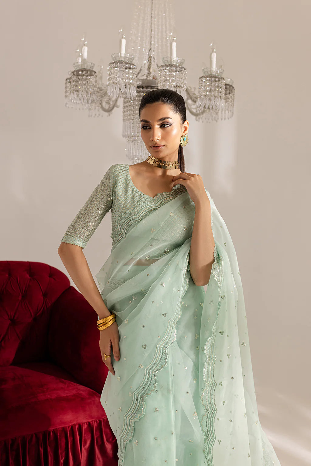 Gulraaz | Mint Embroidered Organza Saree