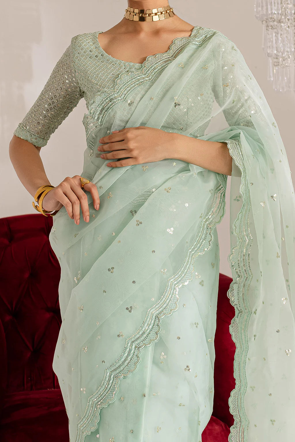 Gulraaz | Mint Embroidered Organza Saree