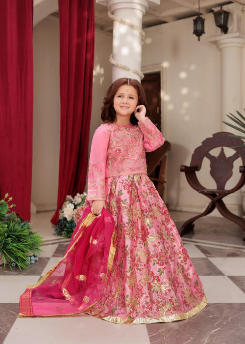 Fareeha | Girls Bubble Gum Organza Lehenga