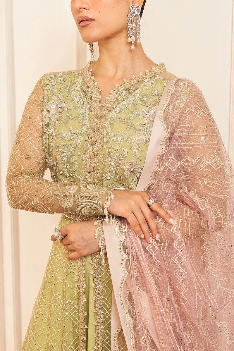Mushq | Mint Green Net Hand Embellished Gown