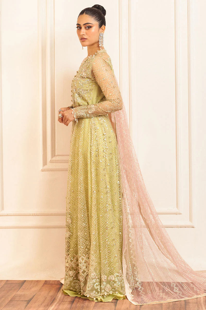 Mushq | Mint Green Net Hand Embellished Gown