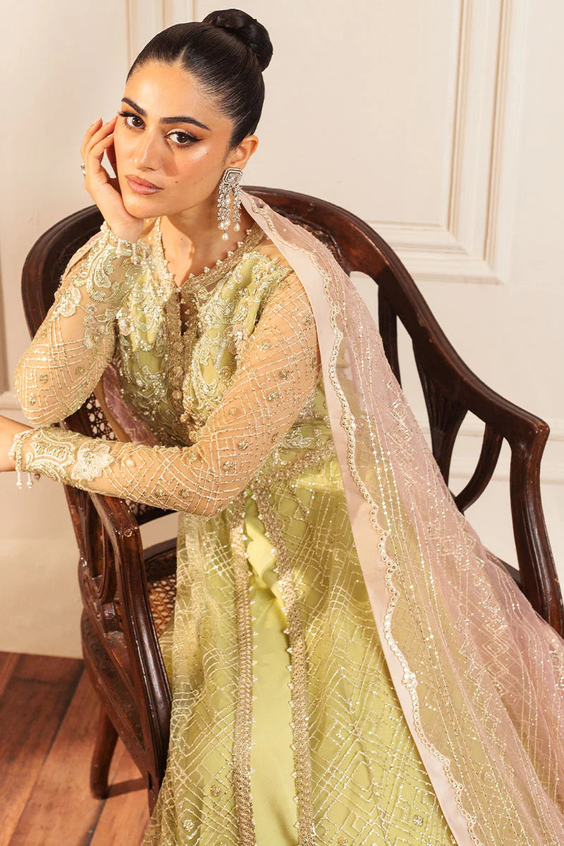 Mushq | Mint Green Net Hand Embellished Gown