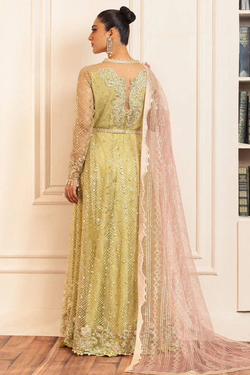 Mushq | Mint Green Net Hand Embellished Gown