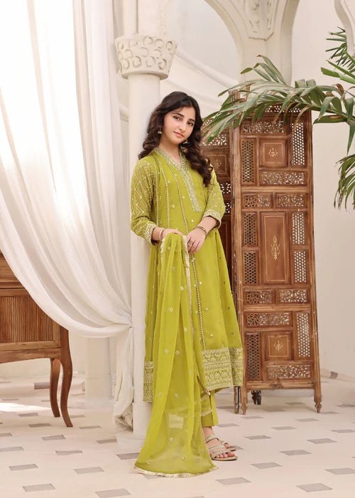 Kashish | Girls Green Chiffon Embroidered Pishwas