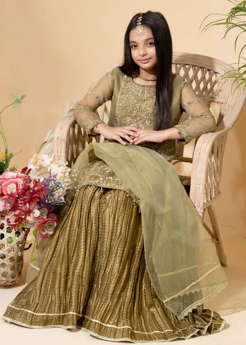 Aaliya | Girls Olive Organa Crush Lehenga
