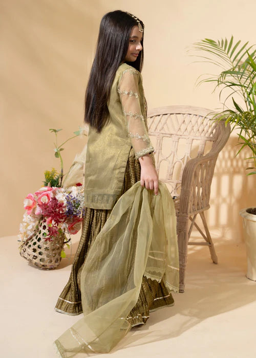 Aaliya | Girls Olive Organa Crush Lehenga