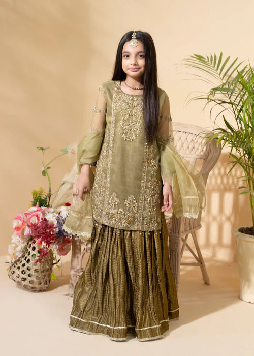 Aaliya | Girls Olive Organa Crush Lehenga