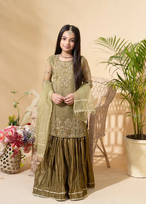 Aaliya | Girls Olive Organa Crush Lehenga