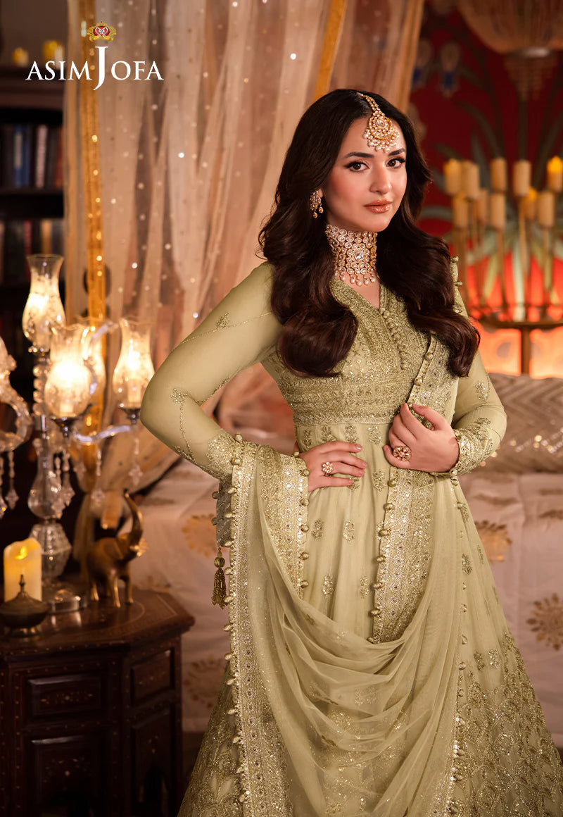 Asim Jofa | Cream Embroidered Embellished Net Dress