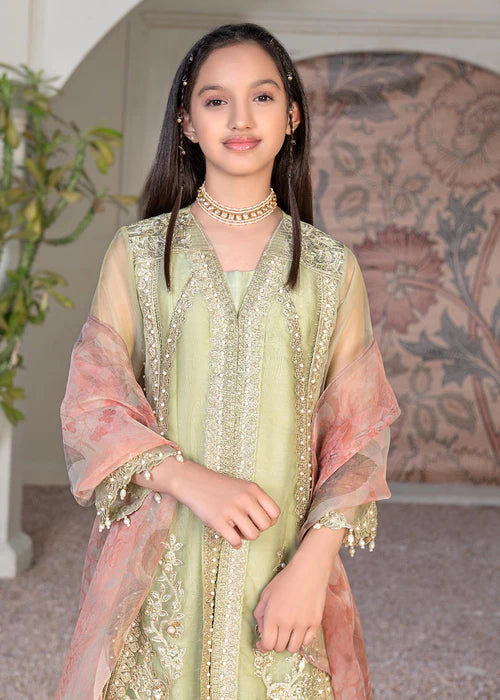Malhaar | Girls Green Organza Embroidered Dress
