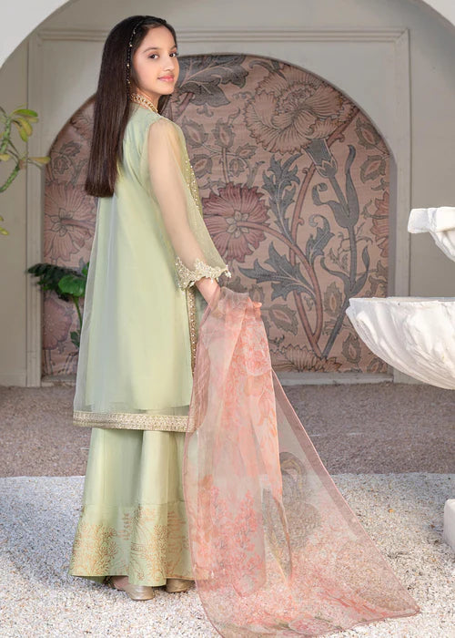 Malhaar | Girls Green Organza Embroidered Dress
