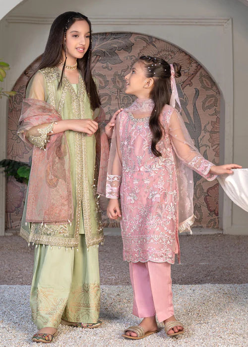 Malhaar | Girls Green Organza Embroidered Dress