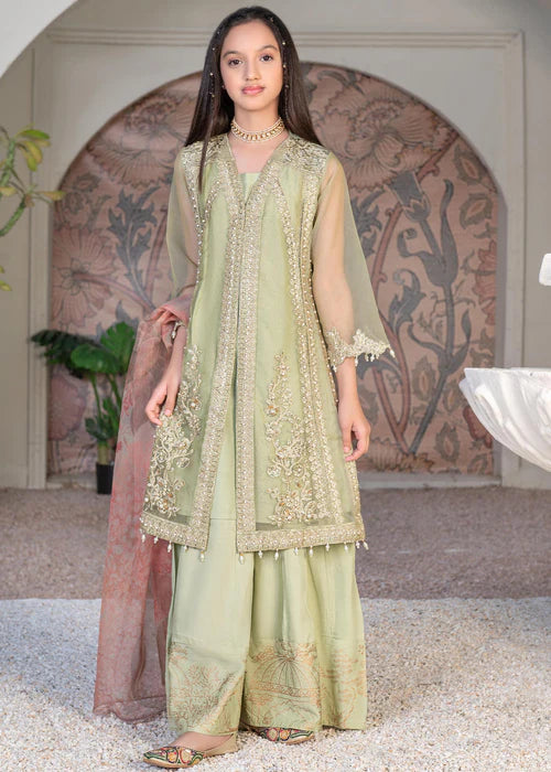 Malhaar | Girls Green Organza Embroidered Dress