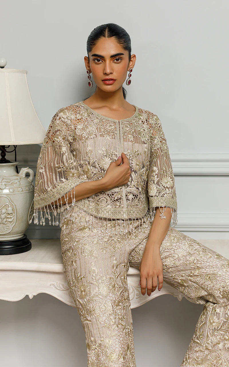 Chanchal | Organza Embroidered Co Ord Set
