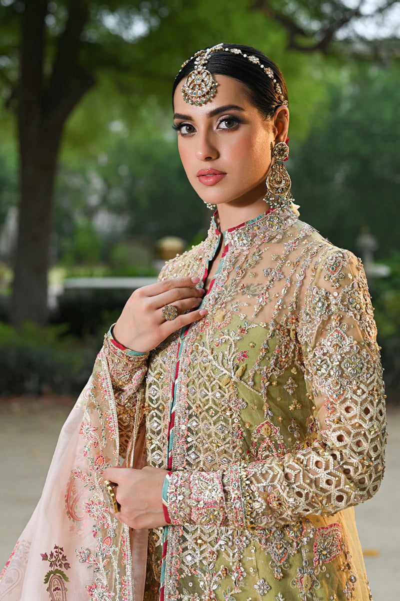 Qalamkar | Pistachio Green Net Embroidered Sharara
