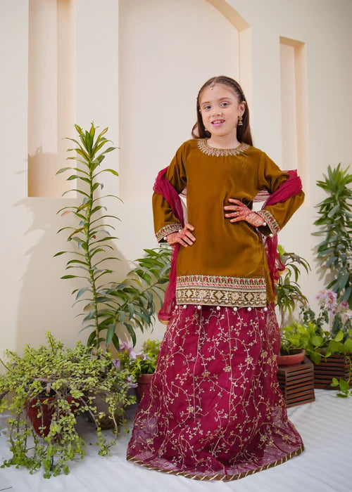 Shanzey | Girls Olive Embroidered Lehenga
