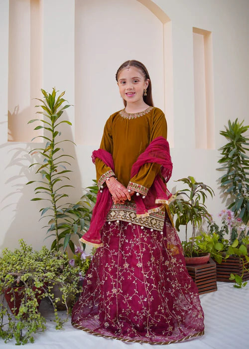 Shanzey | Girls Olive Embroidered Lehenga