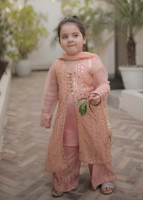 Ufaq | Girls Peach Chikankari Embellished Gown
