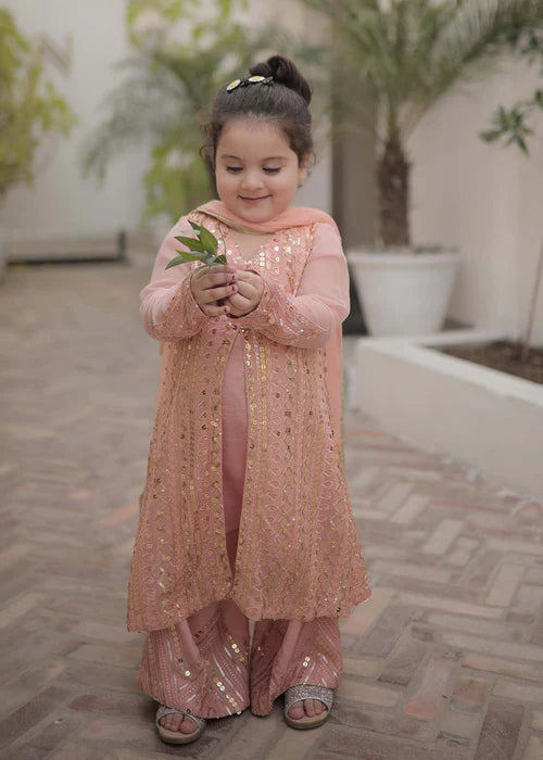 Ufaq | Girls Peach Chikankari Embellished Gown