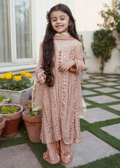 Ufaq | Girls Peach Chikankari Embellished Gown
