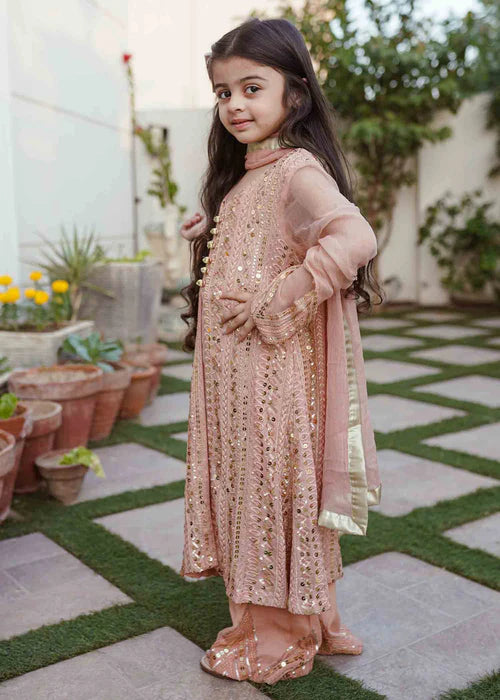 Ufaq | Girls Peach Chikankari Embellished Gown