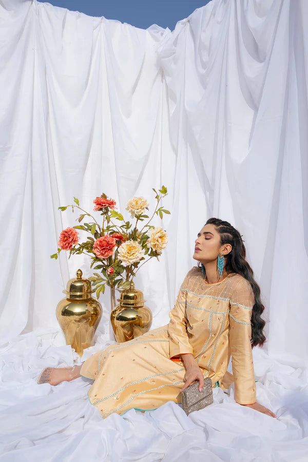 Mani | Silk Embellished Set