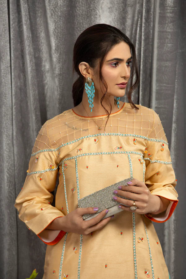Mani | Silk Embellished Set